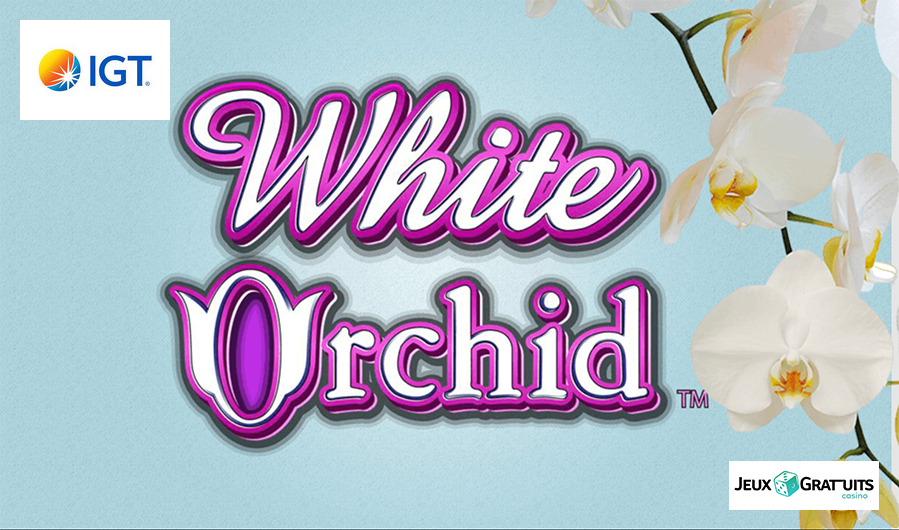 lobby du machine à sous White Orchid