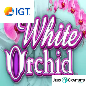 White Orchid