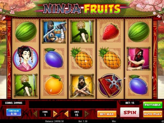 machine à sous Ninja Fruits écran 2