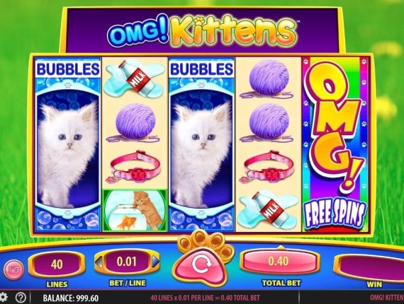 machine à sous OMG Kittens écran 2