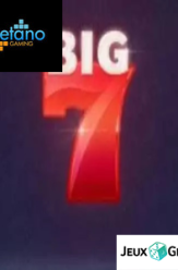 Big 7