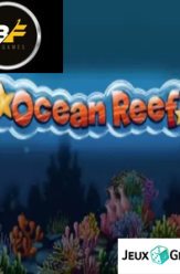 Ocean Reef