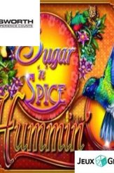 Sugar n Spice Hummin