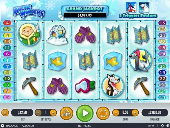 machine à sous Wild Gambler Arctic Adventure écran 1