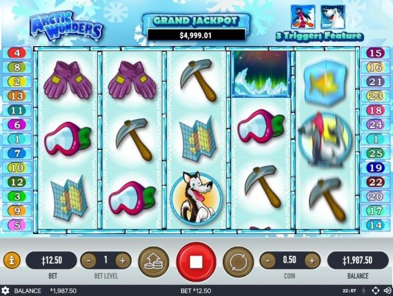 machine à sous Wild Gambler Arctic Adventure écran 2