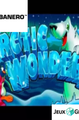 Arctic Wonders