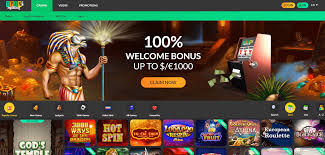 Spin Million Casino Free Spins & Bonus 2020 | YummySpins