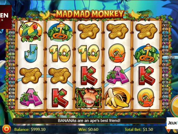 machine à sous Mad Mad Monkey écran 2